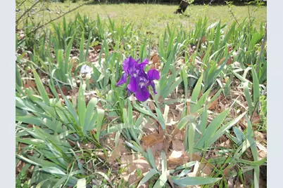 307 NE 5th Street, Hubbard, TX 76648 - Photo 5