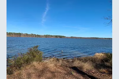 3266 Shadow Pine Drive, LaRue, TX 75770 - Photo 7