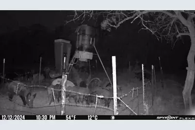 Tbd Hcr-2115, Whitney, TX 76692 - Photo 13