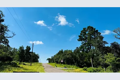 Tbd Tract 10 County Road 2925, Buffalo, TX 75831 - Photo 1