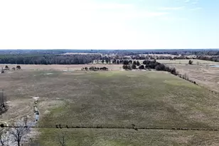 Tract 2 County Road 4878, Winnsboro, TX 75494 - Photo 9