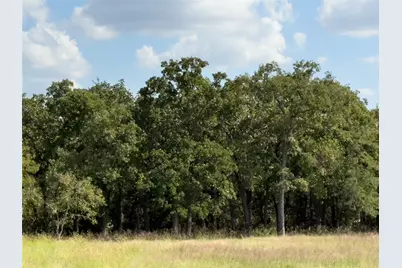 330 Rolling Ranch Boulevard, Alvord, TX 76225 - Photo 3