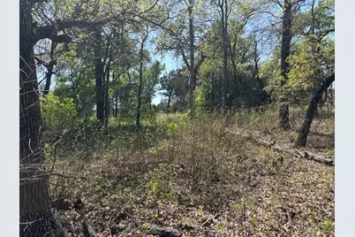 1255 Eagles Bluff Drive, Weatherford, TX 76087 - Photo 11