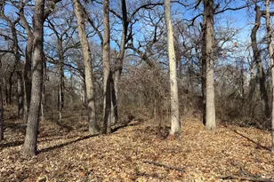 1255 Eagles Blf Dr, Weatherford, TX 76087 - Photo 1