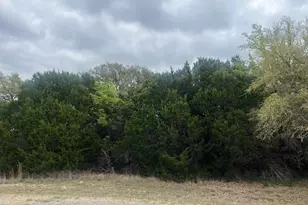 10019 Ridgeway Ct, Whitney, TX 76692 - Photo 1