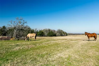 14604 SE County Road 2370, Streetman, TX 75859 - Photo 33