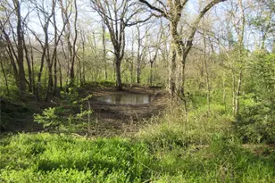 11320 County Rd 528, Mansfield, TX 76063 - Photo 15