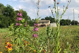 5227 E FM 875, Waxahachie, TX 75167 - Photo 27