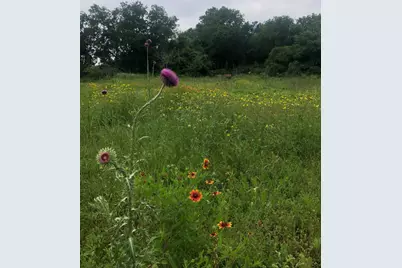 5227 E Fm 875, Waxahachie, TX 75167 - Photo 37