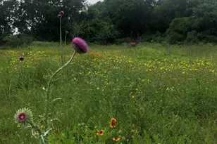 5227 E FM 875, Waxahachie, TX 75167 - Photo 37