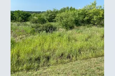 Lot 203 Evening Primrose Drive, Possum Kingdom Lake, TX 76449 - Photo 3