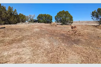 1199 Cr 407A, Nemo, TX 76070 - Photo 3