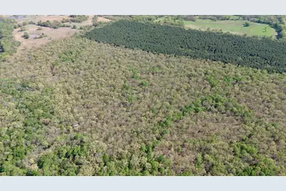 909 Fm, Bogata, TX 75417 - Photo 7