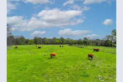 3646 Fm-2285, Sulphur Springs, TX 75482 - Photo 15