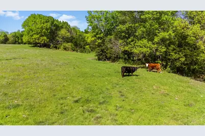 6087 Business 78, Nevada, TX 75173 - Photo 13