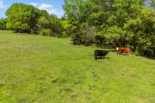 6087 Business 78, Nevada, TX 75173 - Photo 13