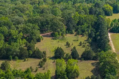 4605 County Road 3800, Athens, TX 75752 - Photo 9