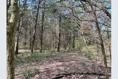 Tbd Fm 2645, Ector, TX 75439 - Photo 13