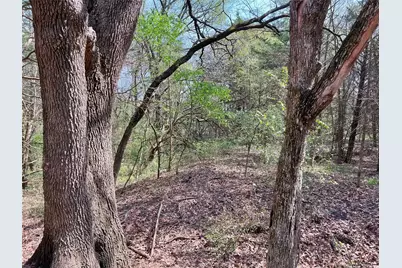 Tbd Fm 2645, Ector, TX 75439 - Photo 3