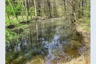 Tbd Fm 2645, Ector, TX 75439 - Photo 23