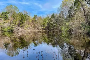 Tbd Fm 2645, Ector, TX 75439 - Photo 1