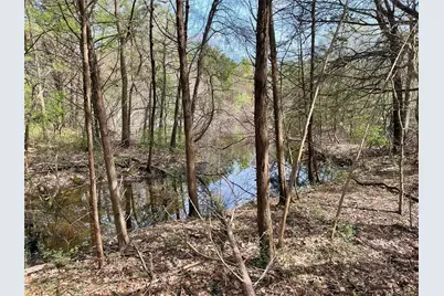 Tbd Fm 2645, Ector, TX 75439 - Photo 19