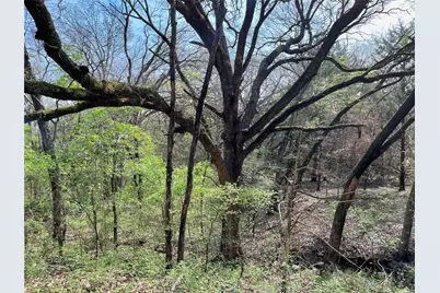 Tbd Fm 2645, Ector, TX 75439 - Photo 15