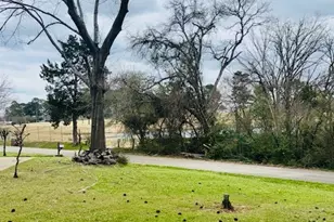 812 Lakeside Dr, Athens, TX 75751 - Photo 5