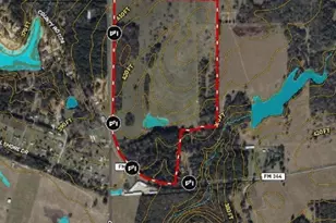 0 W Fm 344, Bullard, TX 75757 - Photo 7