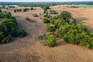 00 W Fm 344, Bullard, TX 75757 - Photo 3