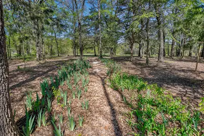 239 County Road 118, Whitesboro, TX 76273 - Photo 15