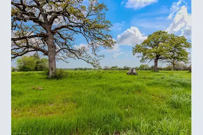 000 Eason Street, Terrell, TX 75160 - Photo 13