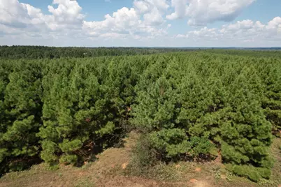 Tbd-L Lincoln Springs Rd, Gladewater, TX 75647 - Photo 5