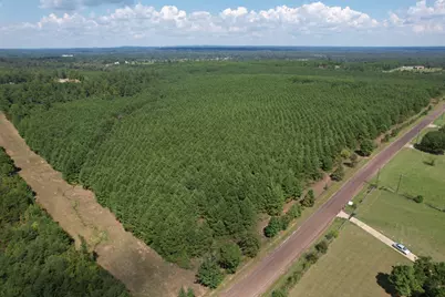 Tbd-L Lincoln Springs Rd, Gladewater, TX 75647 - Photo 3