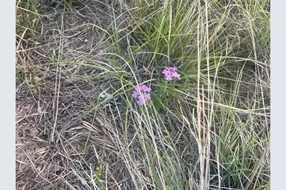 Lot616 Caprock Court, Possum Kingdom Lake, TX 76449 - Photo 15