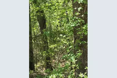 Tbd County Road 421, Tyler, TX 75704 - Photo 15