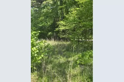 Tbd County Road 421, Tyler, TX 75704 - Photo 11