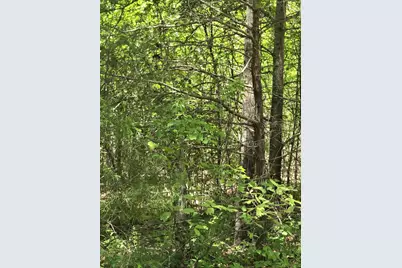 Tbd County Road 421, Tyler, TX 75704 - Photo 13