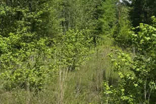 Tbd County Road 421, Tyler, TX 75704 - Photo 1