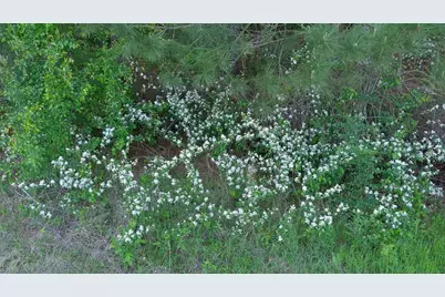 4377 Fm 753, Athens, TX 75751 - Photo 39