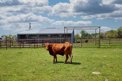 0000 County Road 5040, Leonard, TX 75452 - Photo 15