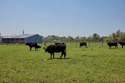 0000 County Road 5040, Leonard, TX 75452 - Photo 17