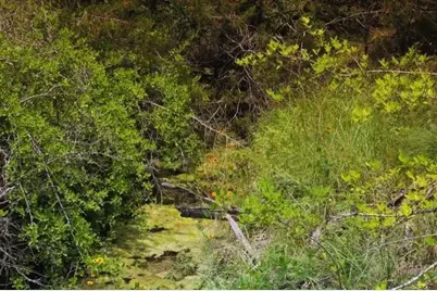 104 W Stagecoach Trail, Weatherford, TX 76085 - Photo 1