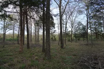 01 Cr-1403, Malakoff, TX 75148 - Photo 3