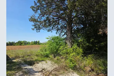 0000 Cr-4240, Simms, TX 75574 - Photo 7