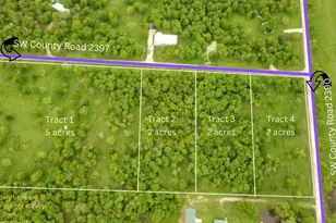 Tract 3 - Tbd SW County Road 2397, Wortham, TX 76693 - Photo 1