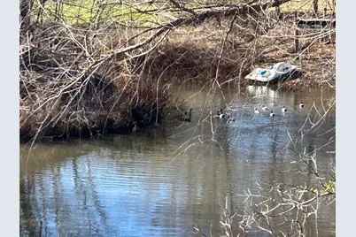 5979 Fm 1830 #lot 3, Argyle, TX 76226 - Photo 3