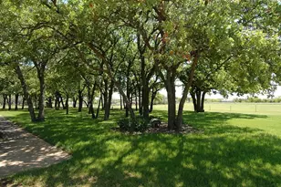 419 FM 407, Argyle, TX 76226 - Photo 5