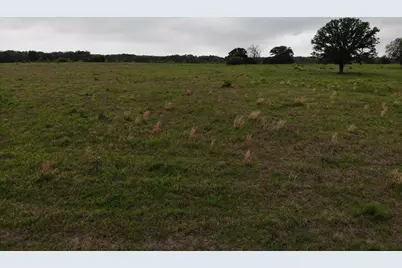 Lot 6 Rains County Rd 2610, Alba, TX 75410 - Photo 3