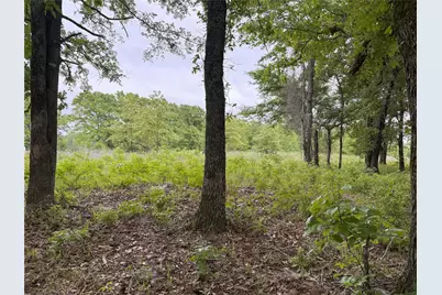 Lot 25 Rains County Road 2610, Alba, TX 75410 - Photo 9